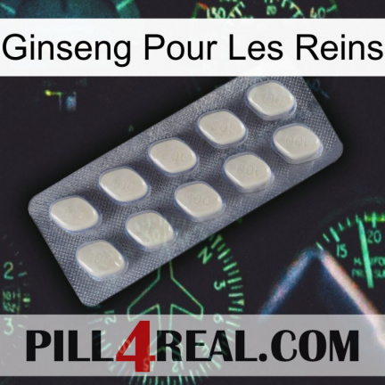 Ginseng For Kidney 08
